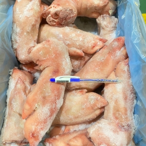 Dựng heo trước TONIES